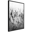 Poster - Shadow of Meadow  - zwart