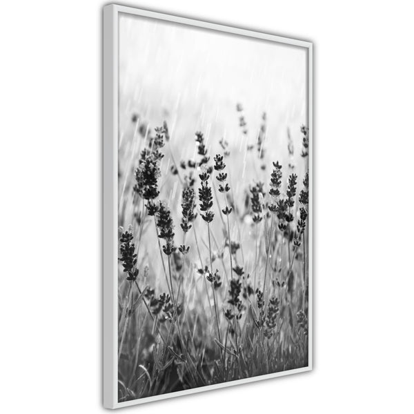 Poster - Shadow of Meadow  - wit