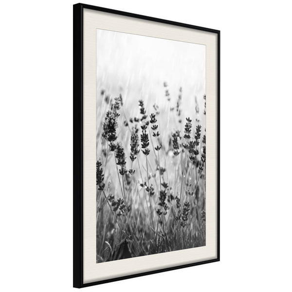 Poster - Shadow of Meadow  - zwart passepartout