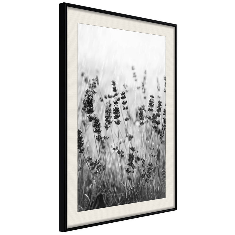 Poster - Shadow of Meadow  - zwart passepartout