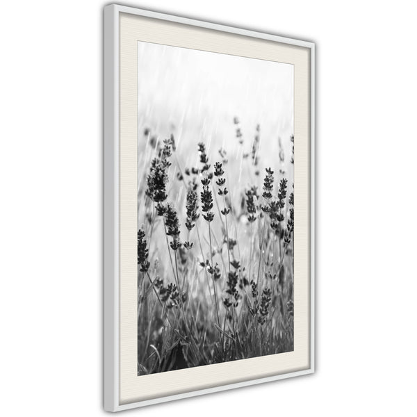 Poster - Shadow of Meadow  - wit passepartout