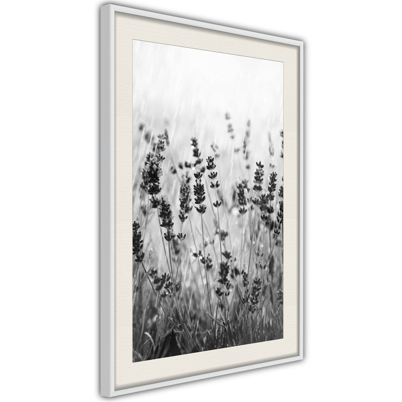 Poster - Shadow of Meadow  - wit passepartout