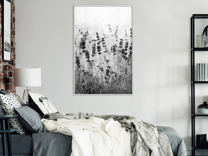 Poster - Shadow of Meadow  - wit