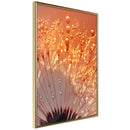 Poster - Orange Breath of the Summer  - goud