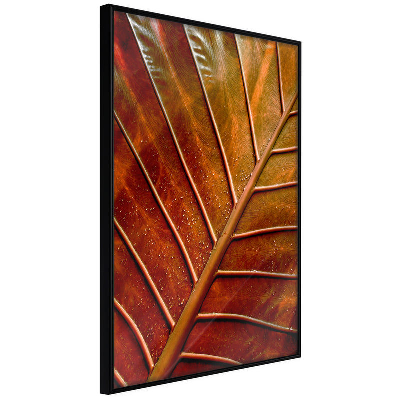 Poster - Bronze Leaf  - zwart