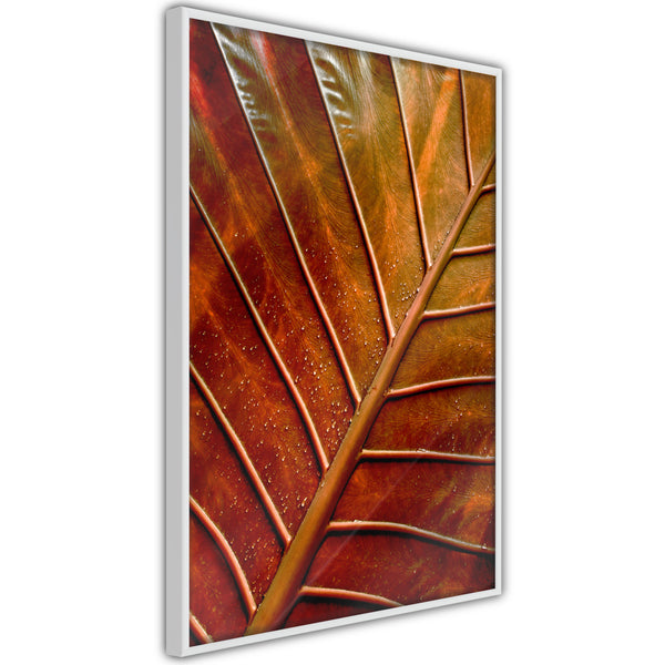 Poster - Bronze Leaf  - wit