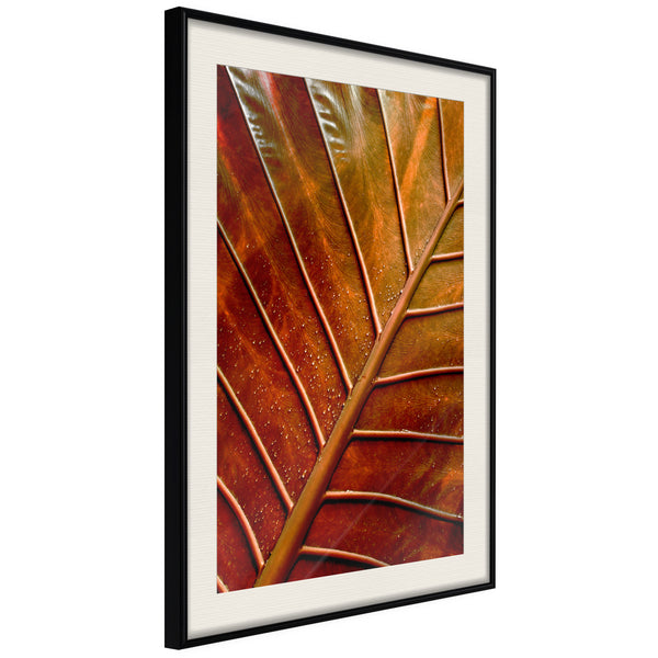 Poster - Bronze Leaf  - zwart passepartout