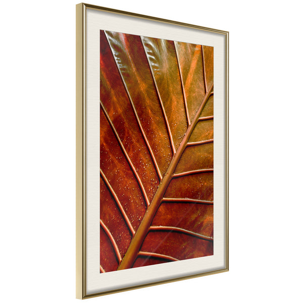 Poster - Bronze Leaf  - goud passepartout
