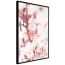 Poster - Cotton Flowers  - zwart