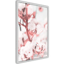 Poster - Cotton Flowers  - wit