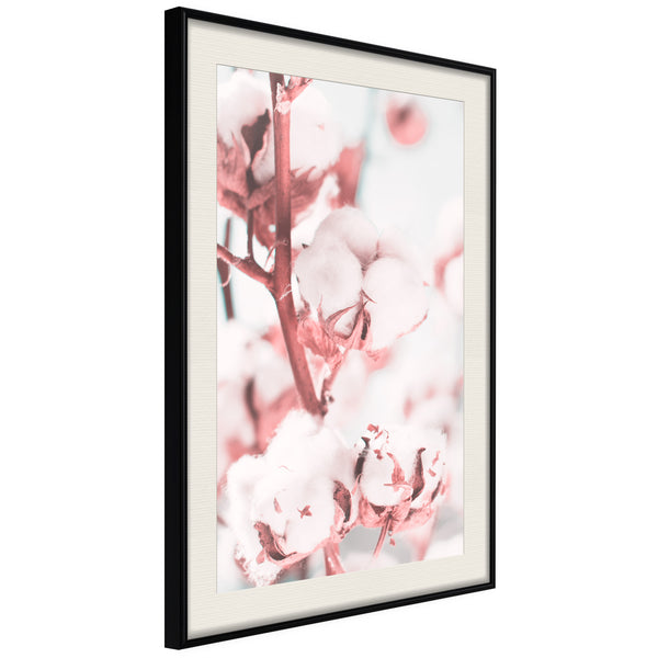 Poster - Cotton Flowers  - zwart passepartout