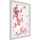 Poster - Cotton Flowers  - wit passepartout