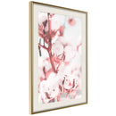 Poster - Cotton Flowers  - goud passepartout