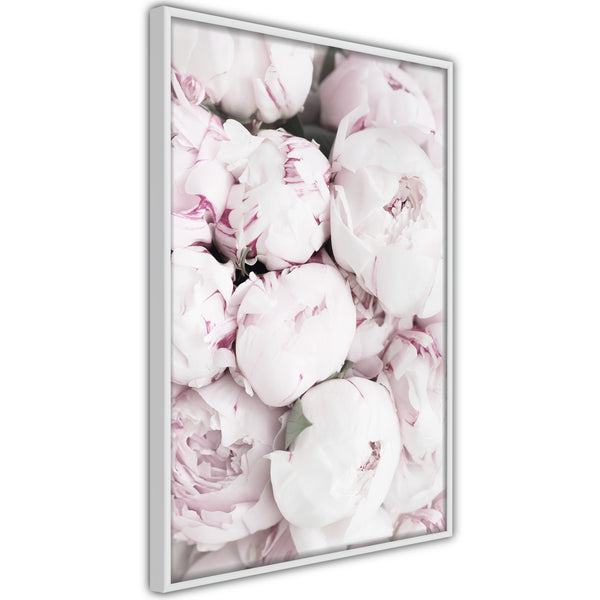 Poster - Girly Dream  - wit