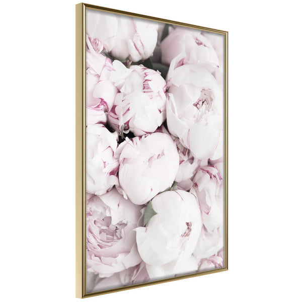 Poster - Girly Dream  - goud