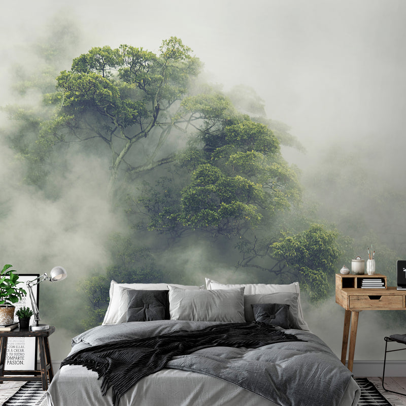 https://www.amazon.murando.com/fototapety/b-B-0486-a-a/b-B-0486-a-a-eb10.jpg
