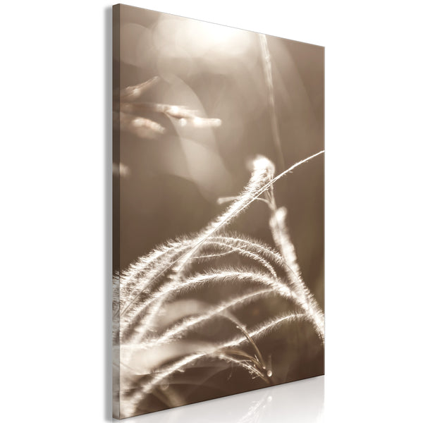 https://www.amazon.murando.com/obrazy/b-B-0546-b-a/b-B-0546-b-a-eb10.jpg