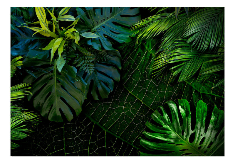 https://www.fotoartgeist.pl//ebaytemp/fototapety1/b-C-0224-a-a/b-C-0224-a-a.jpg