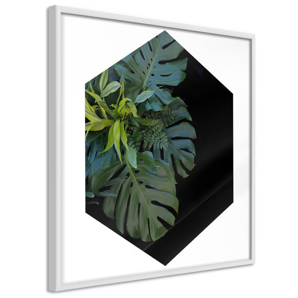 Poster - Cell of Jungle   - wit