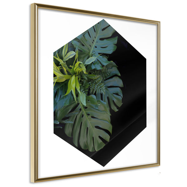 Poster - Cell of Jungle   - goud