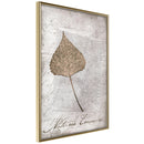 Poster - Dried Leaf  - goud