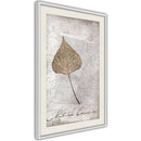 Poster - Dried Leaf  - wit passepartout
