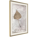 Poster - Dried Leaf  - goud passepartout