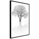 Poster - Roots or Treetop?  - zwart