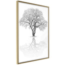 Poster - Roots or Treetop?  - goud
