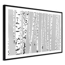 Poster - Birch Wood   - zwart