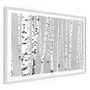 Poster - Birch Wood   - wit