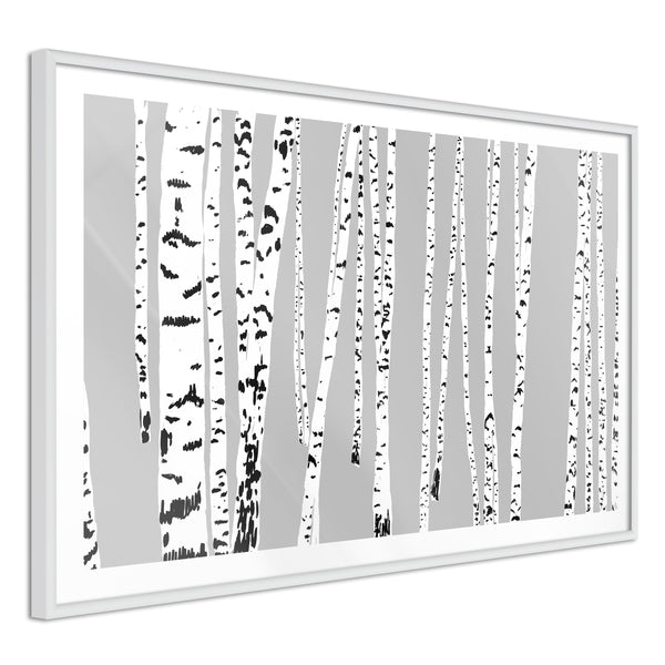 Poster - Birch Wood   - wit