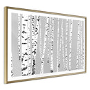 Poster - Birch Wood   - goud