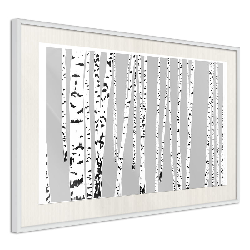 Poster - Birch Wood   - wit passepartout
