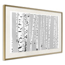Poster - Birch Wood   - goud passepartout