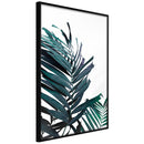 Poster - Evergreen Palm Leaves  - zwart