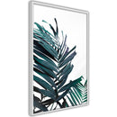 Poster - Evergreen Palm Leaves  - wit