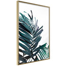 Poster - Evergreen Palm Leaves  - goud