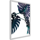 Poster - Evergreen Monstera  - wit