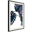 Poster - Evergreen Monstera  - zwart passepartout