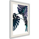 Poster - Evergreen Monstera  - wit passepartout