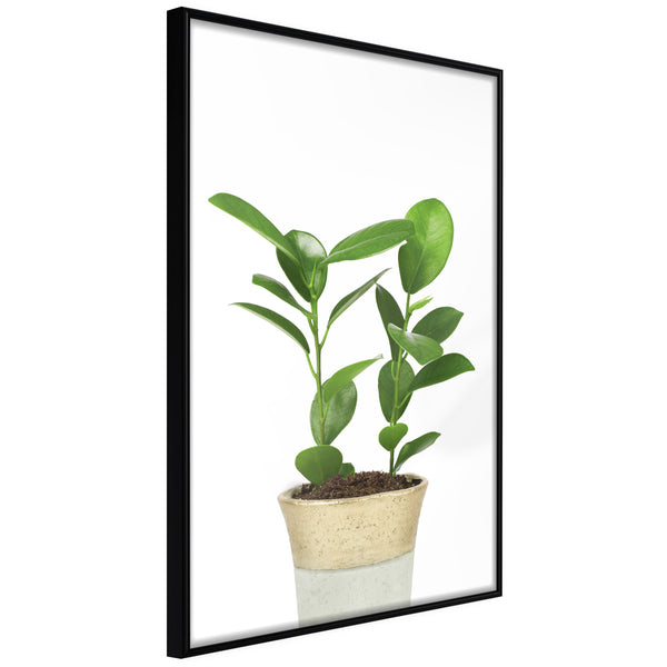 Poster - Piece of Nature II  - zwart