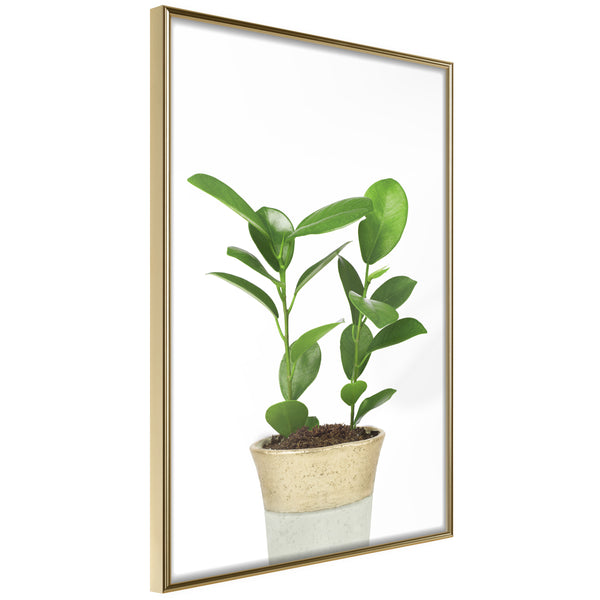 Poster - Piece of Nature II  - goud