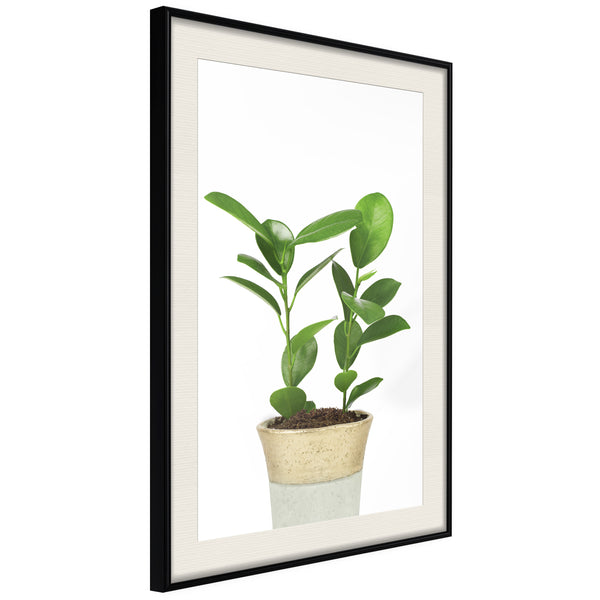 Poster - Piece of Nature II  - zwart passepartout