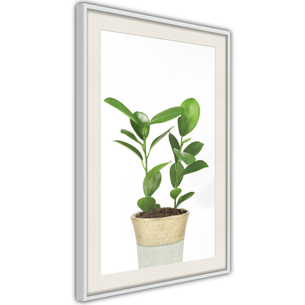 Poster - Piece of Nature II  - wit passepartout