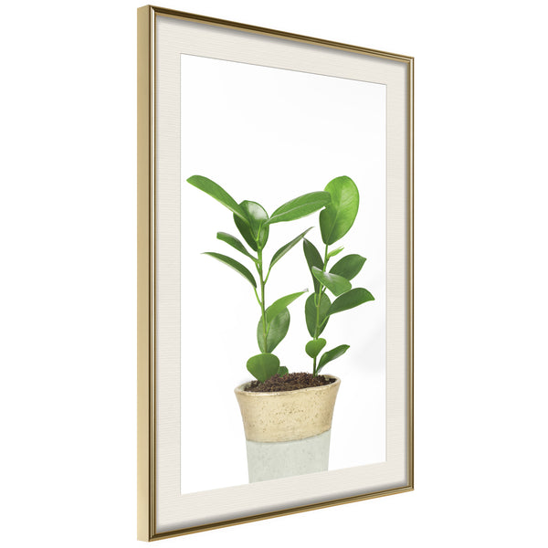 Poster - Piece of Nature II  - goud passepartout