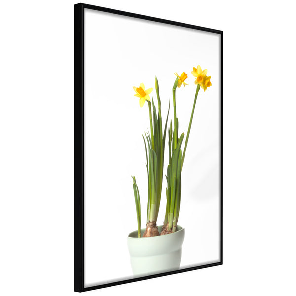 Poster - Piece of Nature IV  - zwart