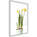 Poster - Piece of Nature IV  - wit