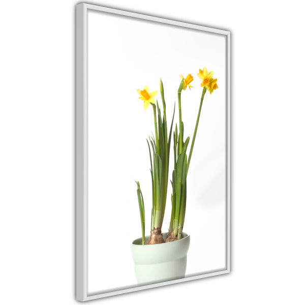 Poster - Piece of Nature IV  - wit