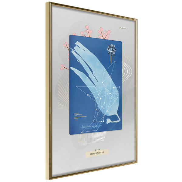 Poster - Alga Cyanotype  - goud